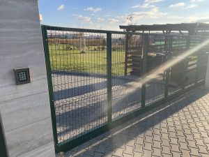 IMG_1544